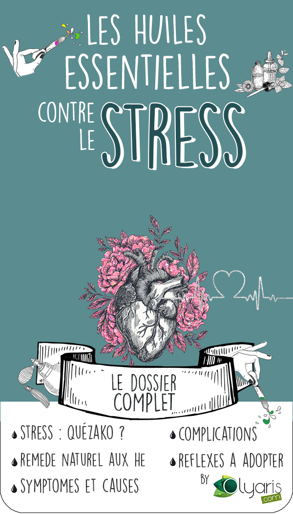 Huile Essentielle de Lavande contre le Stress - Olyaris